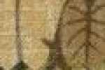 Beige Feuilles
