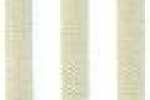 Beige Beige