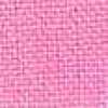 Rose Aurore