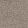 Beige Gris