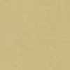 Beige Camel Beige Camel