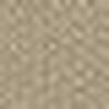 Beige Camel Beige Camel
