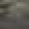 Gris Olive