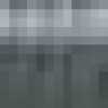 Gris anthracite