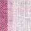 Rose 6