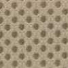 Beige Clair Beige Clair