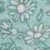 Menthe