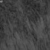 Gris Foncé