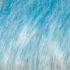 Blanc/Bleu Clair