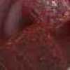 Marron Moyen