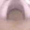 WPC