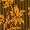 Marron X Orange