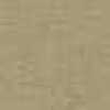 Beige Camel