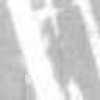 Gris Clair