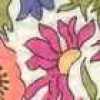 Corail