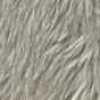 Gris Clair