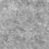 Gris Clair