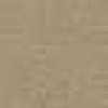 Beige Kaki