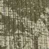 Kaki