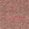 Rose Antique