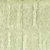 Vert Citron