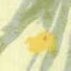 Crème