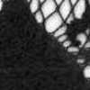 Noir Noir