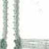 Blanc Cassé X Vert Blanc Cassé X Vert
