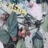 Menthe
