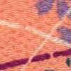 Corail