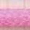 Rose Fluorescent