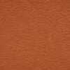 Orange Carotte