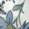 Blanc Cassé × Bleu
