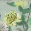 Menthe