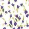 Blanc Cassé X Violet Blanc Cassé X Violet