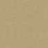 Beige Beige