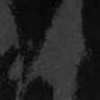 Gris anthracite