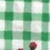 Vert Vert