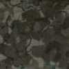 Gris anthracite