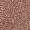 Sahara