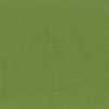 Vert Vert