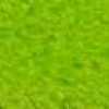 Jaune-vert