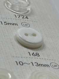 168 DAIYA BUTTONS Bouton Polyester Double Trou DAIYA BUTTON(DAIYA BUTTON) Sous-photo