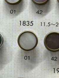 1835 Boutons élégants Et Luxueux Pour Des Chemises Et Des Vestes Simples DAIYA BUTTON(DAIYA BUTTON) Sous-photo