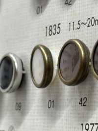 1835 Boutons élégants Et Luxueux Pour Des Chemises Et Des Vestes Simples DAIYA BUTTON(DAIYA BUTTON) Sous-photo