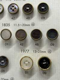 1835 Boutons élégants Et Luxueux Pour Des Chemises Et Des Vestes Simples DAIYA BUTTON(DAIYA BUTTON) Sous-photo
