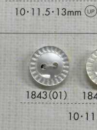 1843 Bouton à Deux Trous Bordé De Résine Polyester Sous-photo