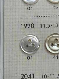 1920 DAIYA BUTTONS 3 Bouton Shell Polyester DAIYA BUTTON(DAIYA BUTTON) Sous-photo