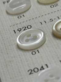 1920 DAIYA BUTTONS 3 Bouton Shell Polyester DAIYA BUTTON(DAIYA BUTTON) Sous-photo