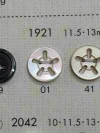 1921 DAIYA BUTTONS 5 Bouton Shell Polyester DAIYA BUTTON(DAIYA BUTTON) Sous-photo